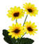 Mini-buissons de marguerite artificiels-528257255