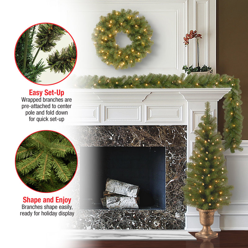 4 Piece Evergreen Assortment with Decorative Base and Clear LED Lights