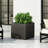 L 22 Planter Box-1169410457