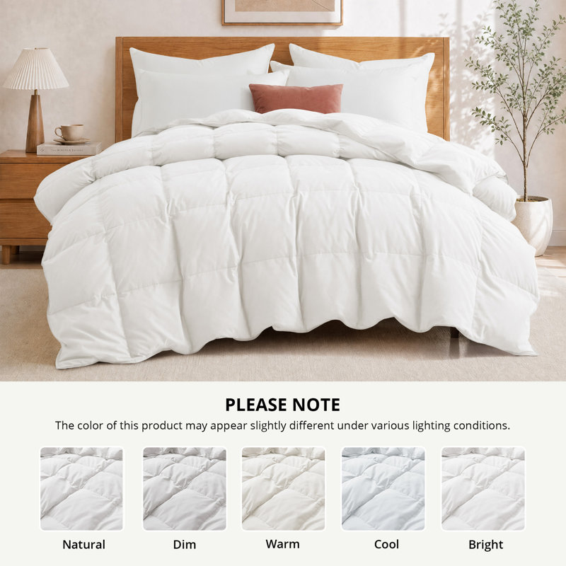 Couette en duvet toutes saisons avec housse douce et lisse, Blanc, Grand lit