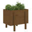 Meenakshi Wood Raised Garden Bed-1774958731-1774958768-1774958775