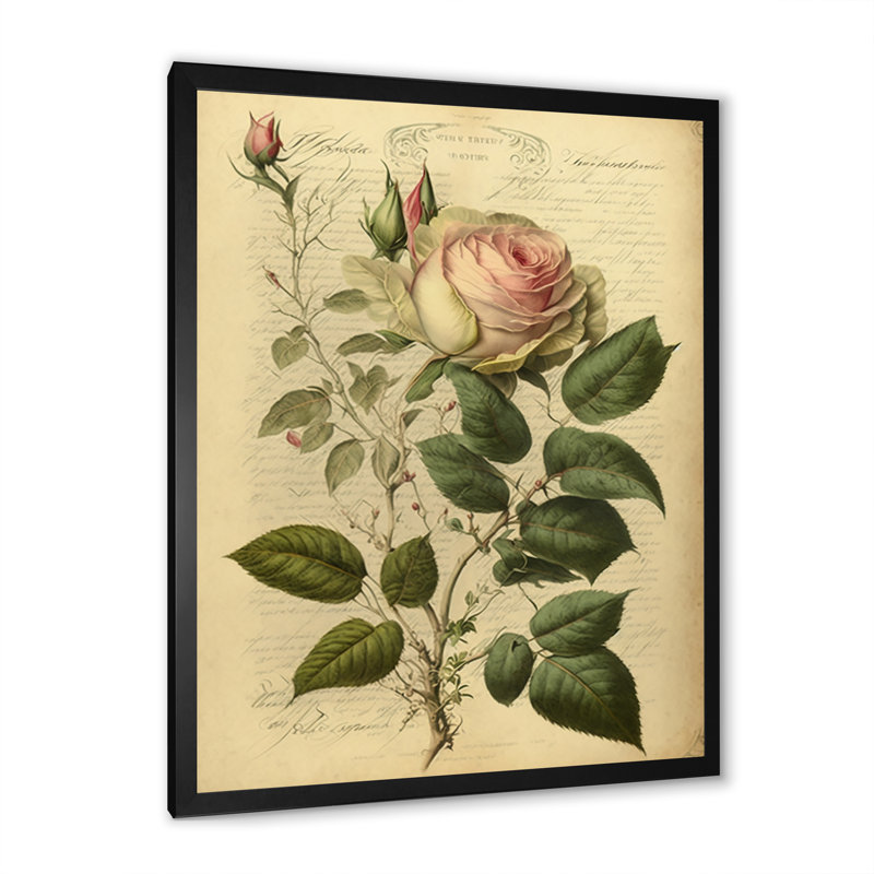 Victorian Retro Pink Rose V - Rose, reproduction encadrée, Impression noire sur toile encadrée, H 40 po x l 30 po x P 1,5 po