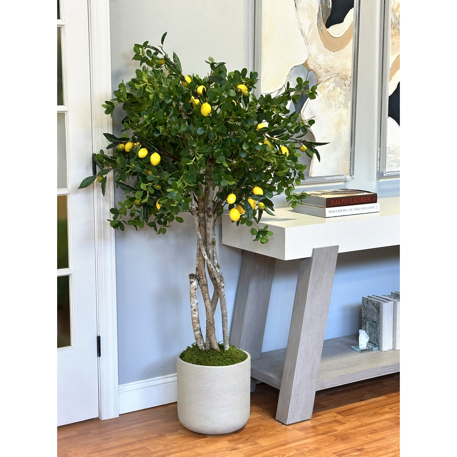 Lemon Tree in Fiberstone Pot