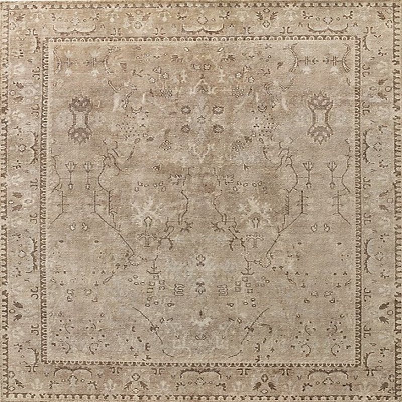 Itzel Oriental Indoor Rug, Square 8'