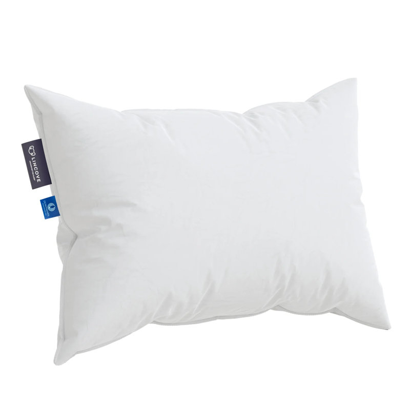 Oreiller en duvet d'oie blanche de qualité supérieure - Capacité de remplissage 700 - Double couture avec passepoil allemand - Moyen - Standard