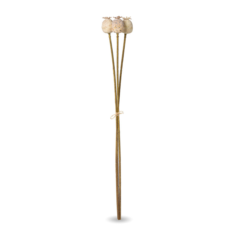 Poppy Pod Bundle, 3 Stems/Bundle