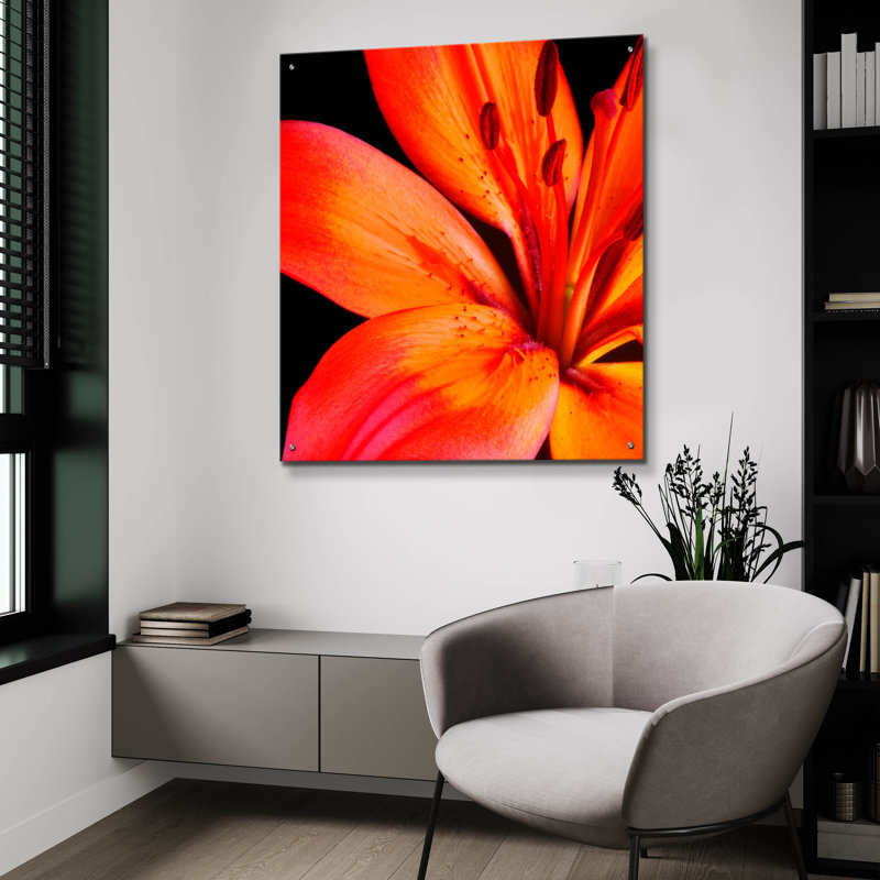 Epic Art «Orange Flower On Black 02» par Tom Quarte «Orange Flower On Black 02» par Tom Quartermaine