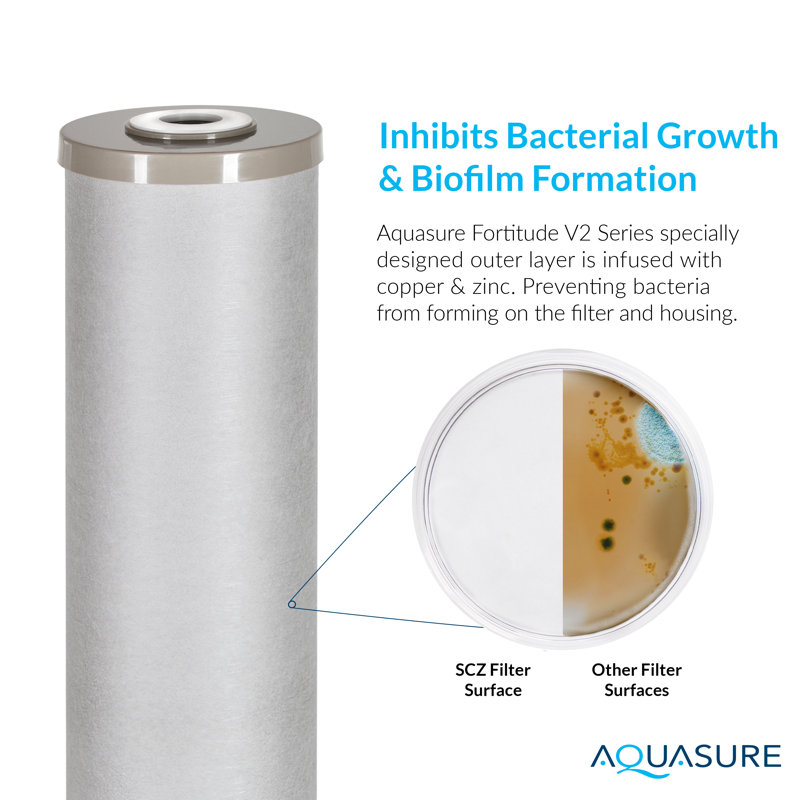 Aquasure Fortitude V2 Large Sediment Carbon Zinc Replacement Filter