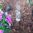 Spiral Garden Metal Rain Gauge