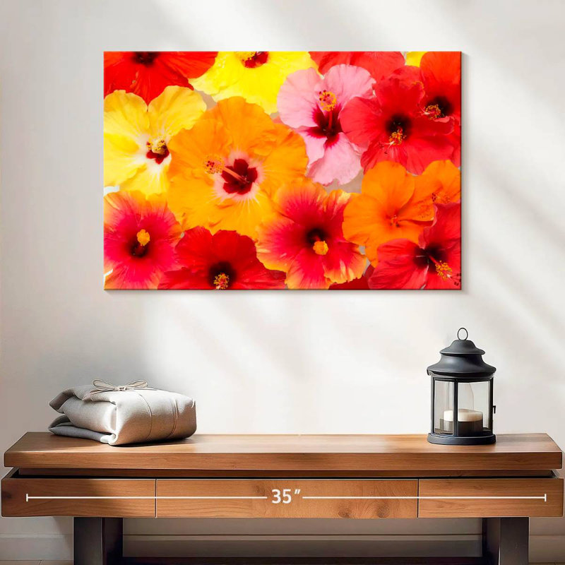 Harnek Hibiscus In Summer