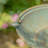Mattison Metal Pedestal Birdbath-1134530373
