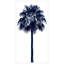 HomeRoots «Palm Tree Blue IV White, reproduction d'art encadrée»