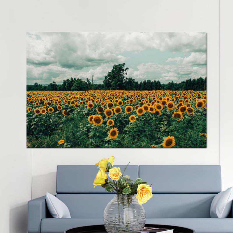 Œuvre imprimée sur toile: Tournesol champêtre, vue de paysage, 1P, H : 47,3 x L : 102,4 pouces