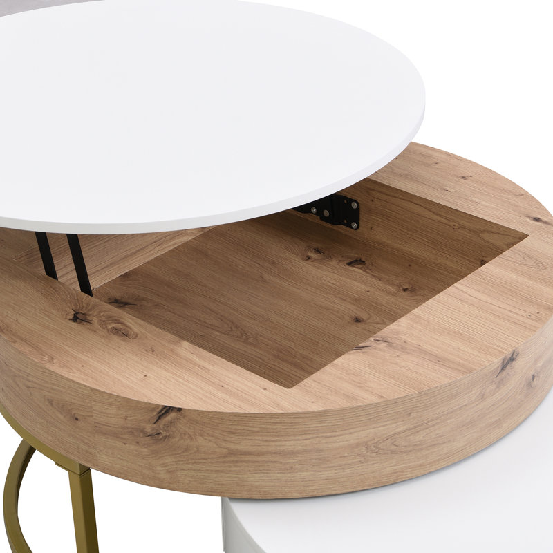 Anamta Modern Round Lift-top Nesting Coffee Tables with 2 Drawers, Gold, White/Natural