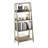 Casiana Ladder Bookcase-70857984-95356670