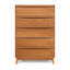 Catalina 5 - Drawer Solid Wood Dresser-24674759
