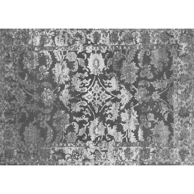 Nialah Performance Oriental Indoor Rug, Runner 2' x 5'