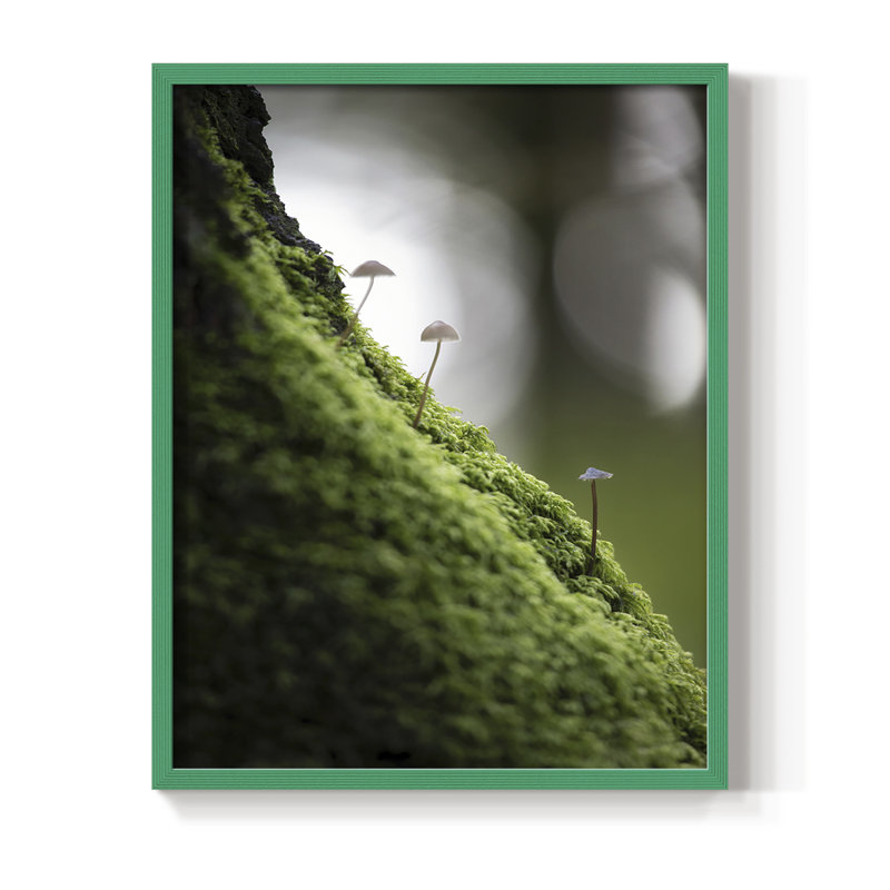 Espoir de Hope, reproduction encadrée - bois massif, Vert, H 10 po x l 8 po