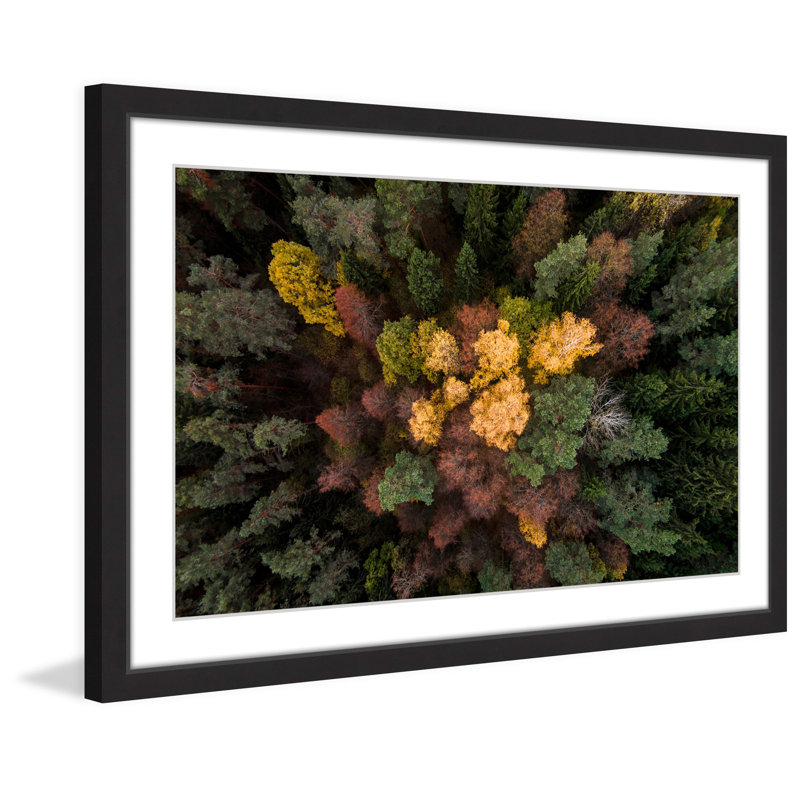 Karolis Janulis - Single Picture Frame Print, 61 cm H x 91 cm W x 3.81 cm D