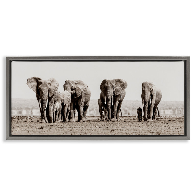 Famille d'éléphants dans la savane, H 11 po x l 25 po, Cadre flottant gris lustré