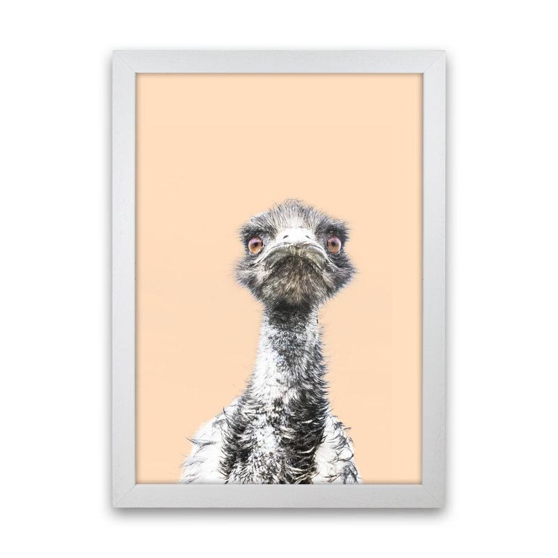 Orange Emu by Victoria Frost - Print, White Framed, 88cm H x 64cm W x 3cm D