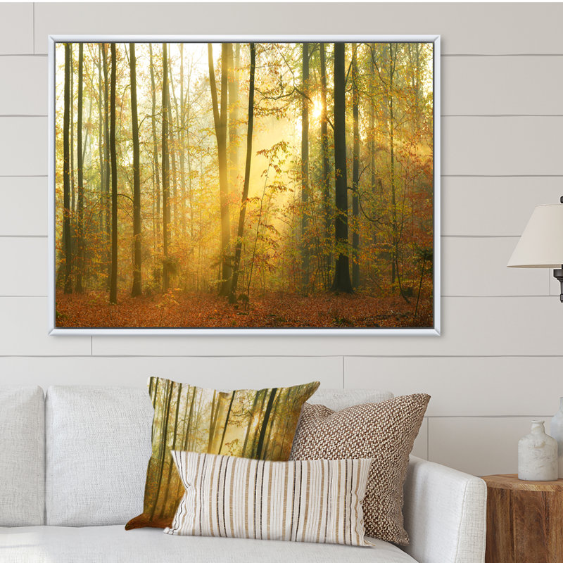 «Autumn Morning Forest», reproduction d'art sur toile traditionnelle, H 24 po x l 36 po x P 1 po, Cadre flottant blanc