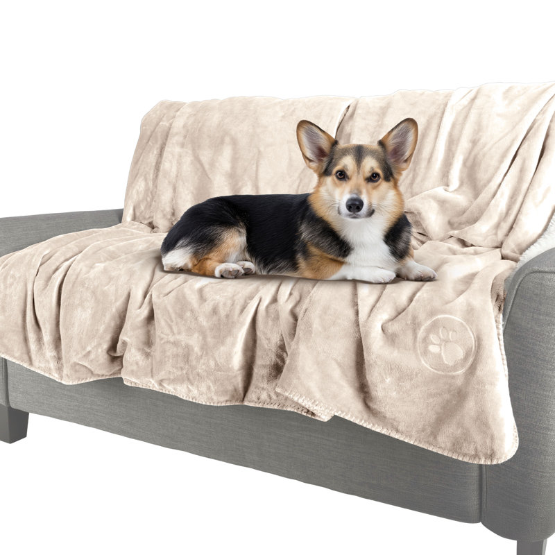 Couverture imperméable pour chien, pour lit, lit ou voiture PETPAKER, 60 po x 50 po, Crème / motif de pattes brodées