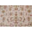 Ivory Agra Oriental Area Rug 8x10