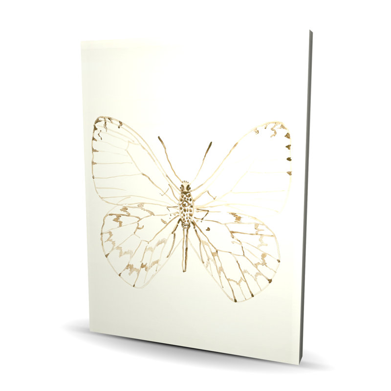 Croquis de papillons - Insecte, toile de salon, décoration intérieure