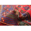Tapis bleu Andelz 4 pi 4 po x 6 pi 7 po