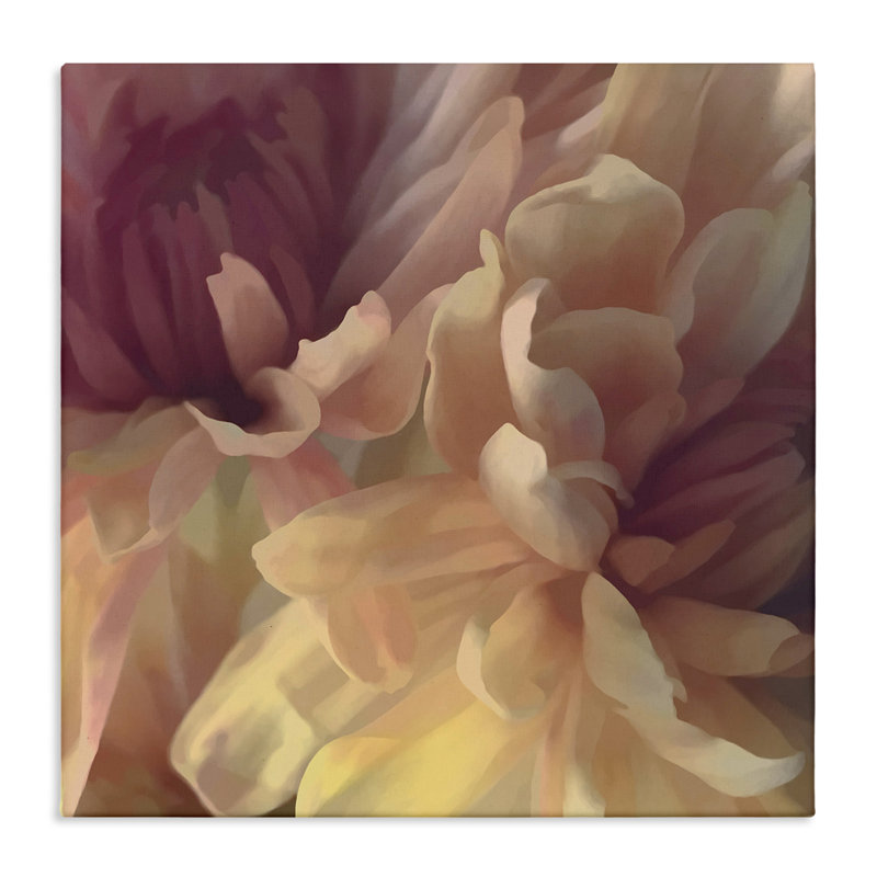 «Curling Dahlia Petals» par David Pollard, H 17 po x l 17 po