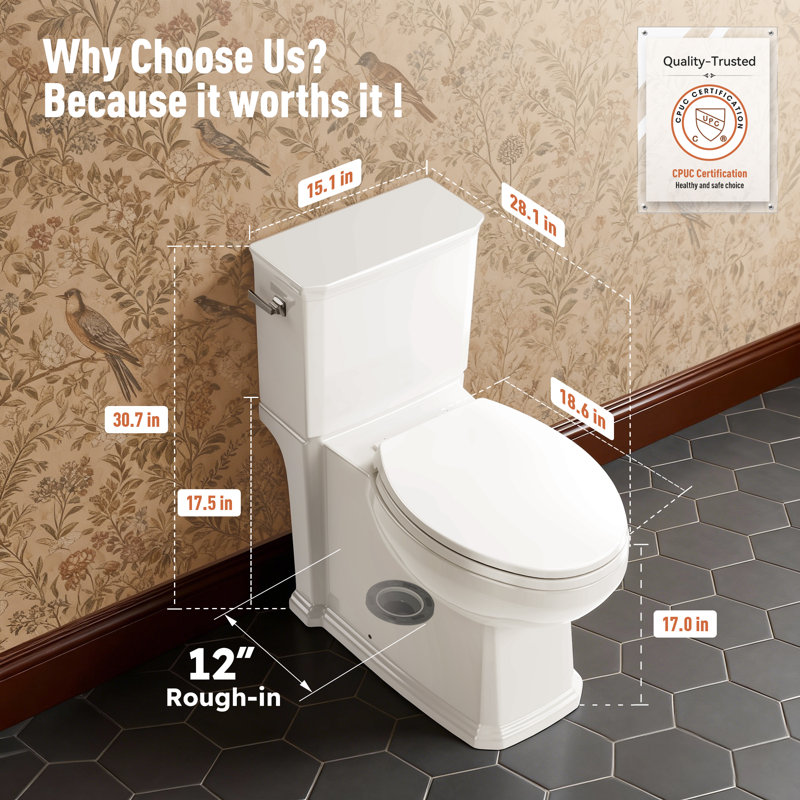 Elongated Two-Piece Toilet, 17" ADA Comfort Height with Powerful Siphonic Flush, Nano Self-Cleaning Glaze, Soft-Close Slim Lid, Easy Installation, CUPC & MAP1000g Certified, 12" Rough-In  