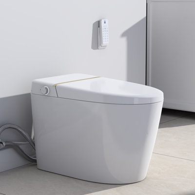 Rainlex 1.27 Gallons GPF Elongated Floor Mounted Bidet Toilet (Seat Included)