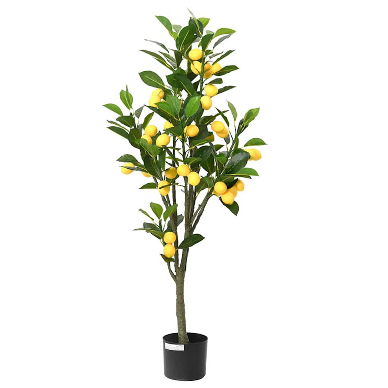 120cm Plant