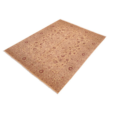 Pachton Wool Oriental Rug