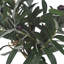 Anssi Pot Planter