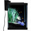 Ensemble d'aquarium 20 gallons avec éclairage à DEL et décorations Colorfusion