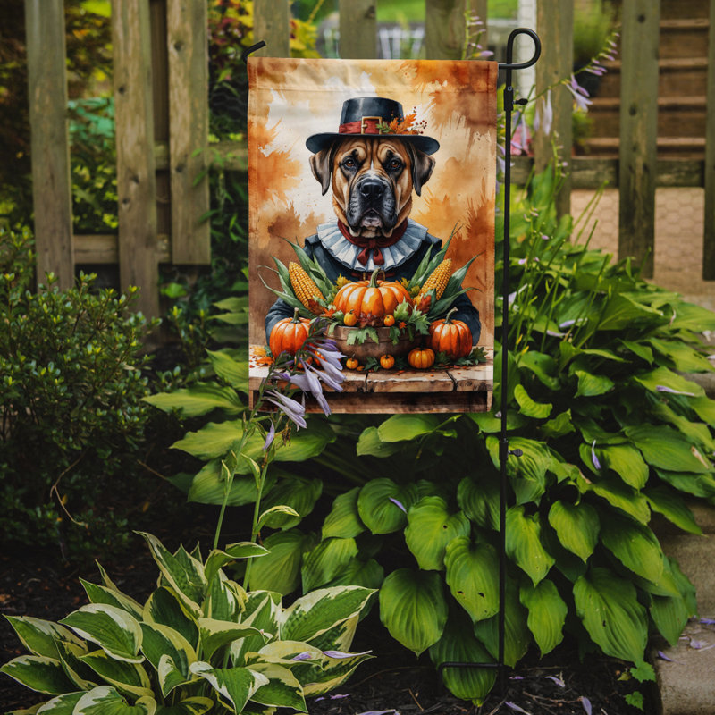 Drapeau du jardin de l'Action de grâce, Bullmastiff