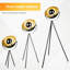 Sholes 148cm Tripod Floor Lamp