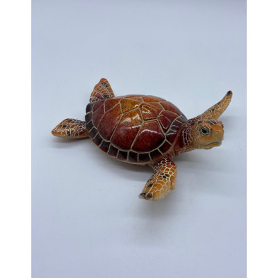 Tortue