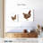 Crowle Brown Chicken-111880771