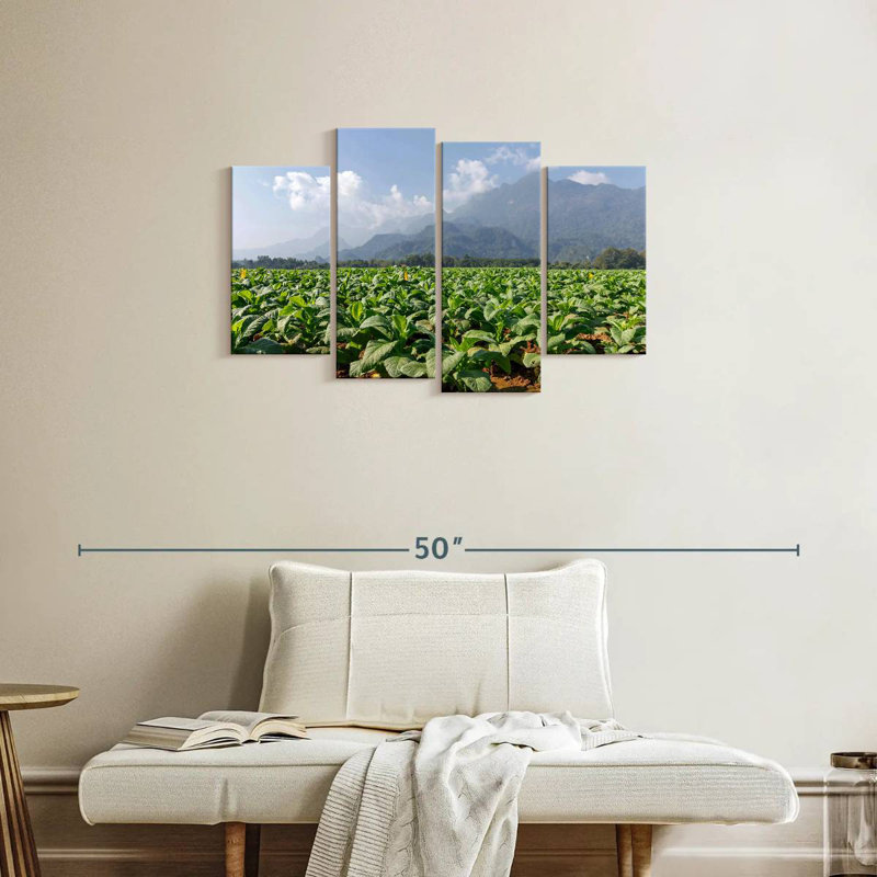 Tobacco Green Fields