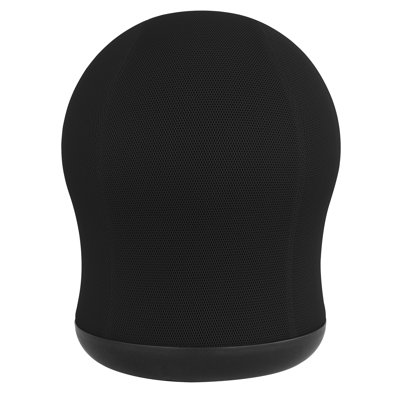 Zenergy Exercise Ball Chair