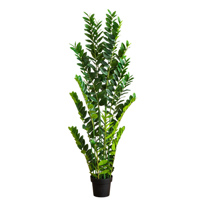 Artificial Zamioculcas Plant, 60" H x 16" W x 16" D