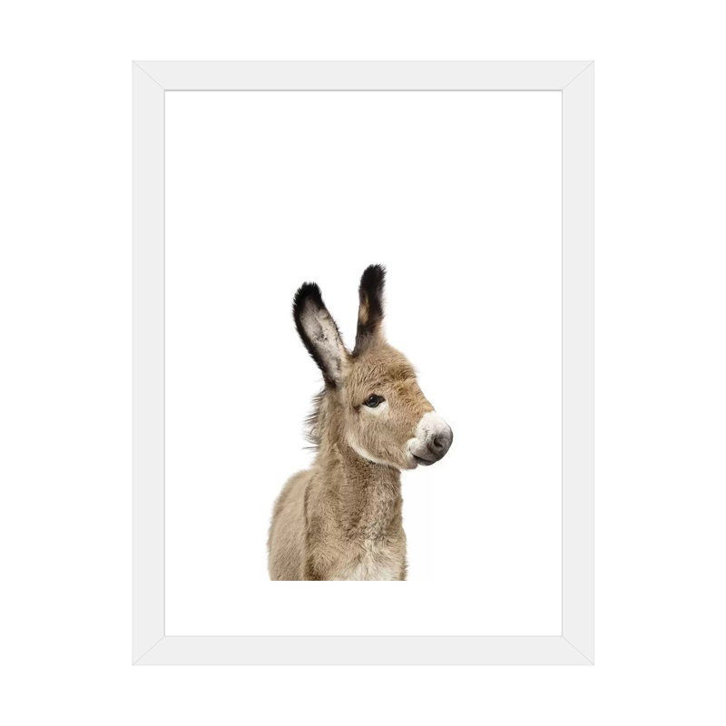 «Baby Donkey» par Sissi & Seb - reproduction de photo, Papier encadré blanc, H 24 po x l 16 po x P 1 po, Blanc