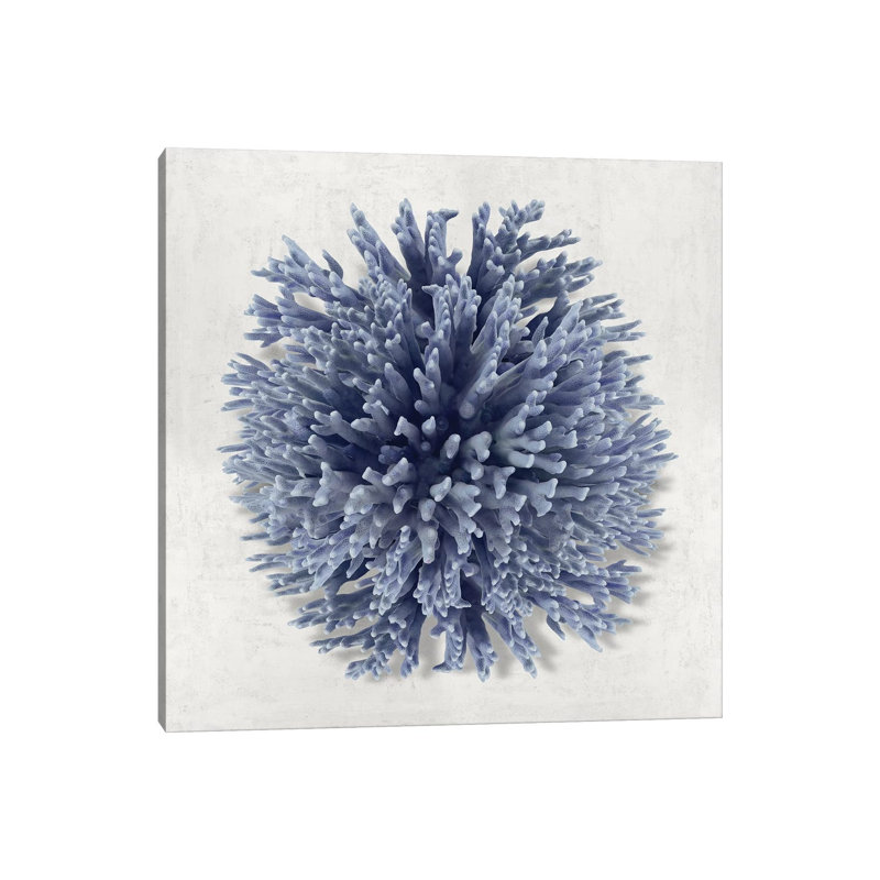 Coral Indigo I by Caroline Kelly - Wrapped Canvas Print, 66.04 cm H x 66.04 cm W