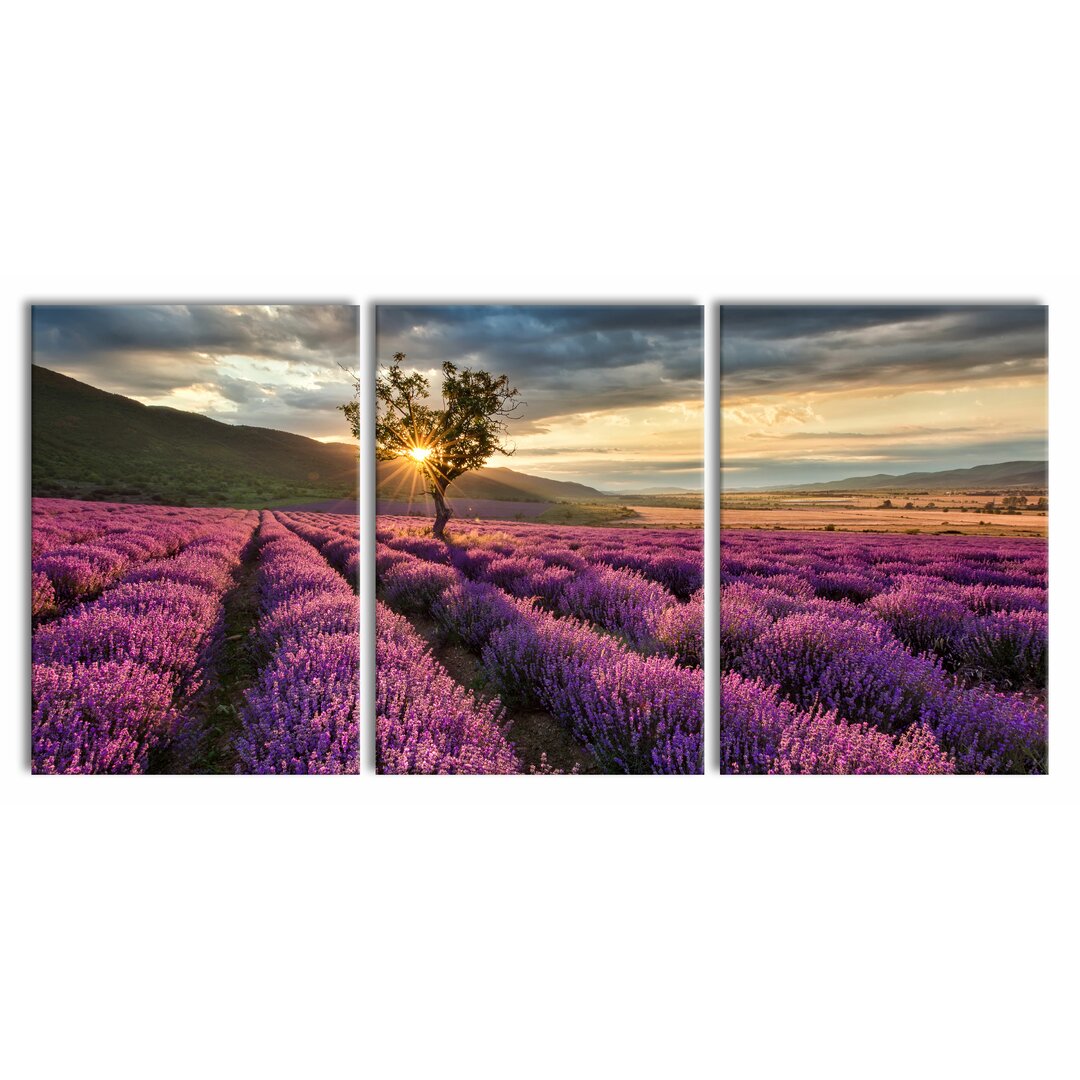 3-tlg. Leinwandbilder-Set Lavendel Provence mit Baum