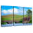 Rural Hobbit House-49341877