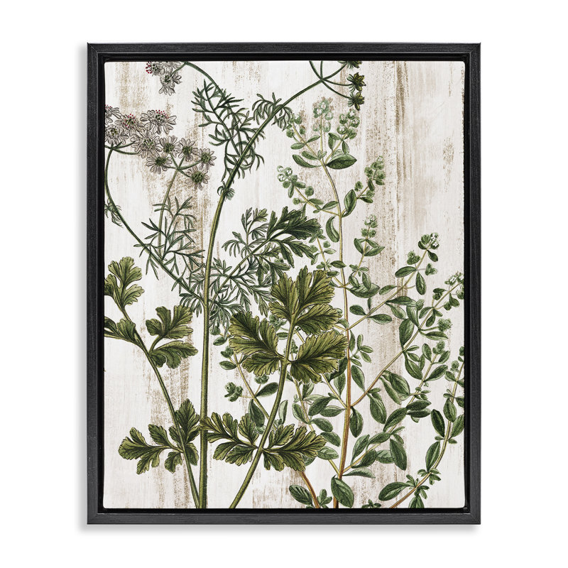 "Botanical Greenery", art mural encadré sur toile flottante par Kim Allen, Cadre flottant noir de jais, H 21 po x l 17 po