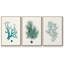 Antique Coastal Coral IV, impression sur toile 3 pièces-91887665-91887666